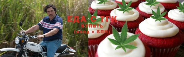 шишки Дмитриев
