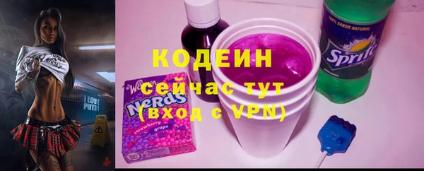 шишки Дмитриев