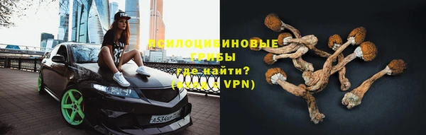 шишки Дмитриев