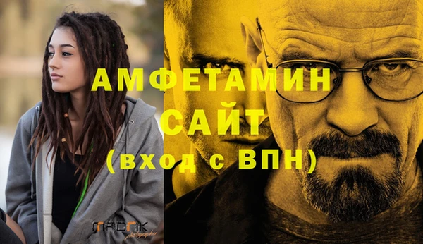 шишки Дмитриев