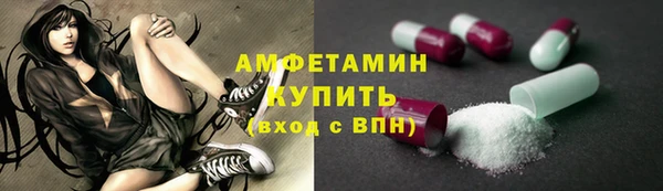 шишки Дмитриев