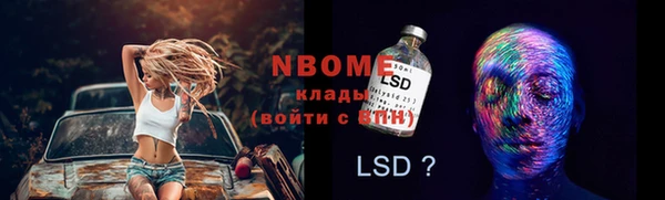 шишки Дмитриев
