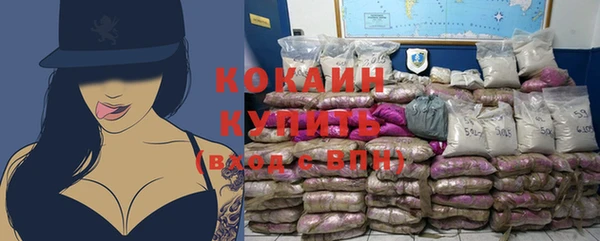 шишки Дмитриев